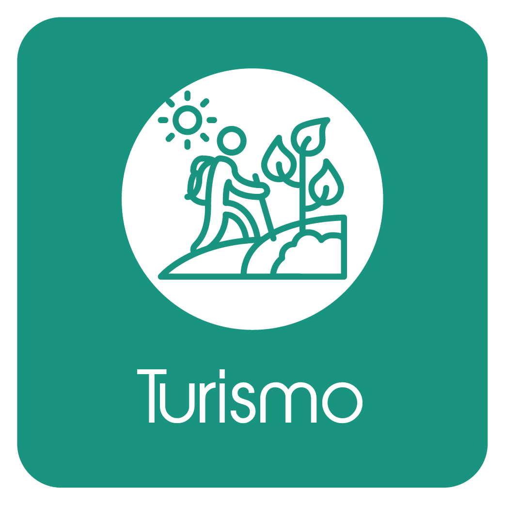 ICONOS WEB DIC2025_Mesa de trabajo 1 copia 5