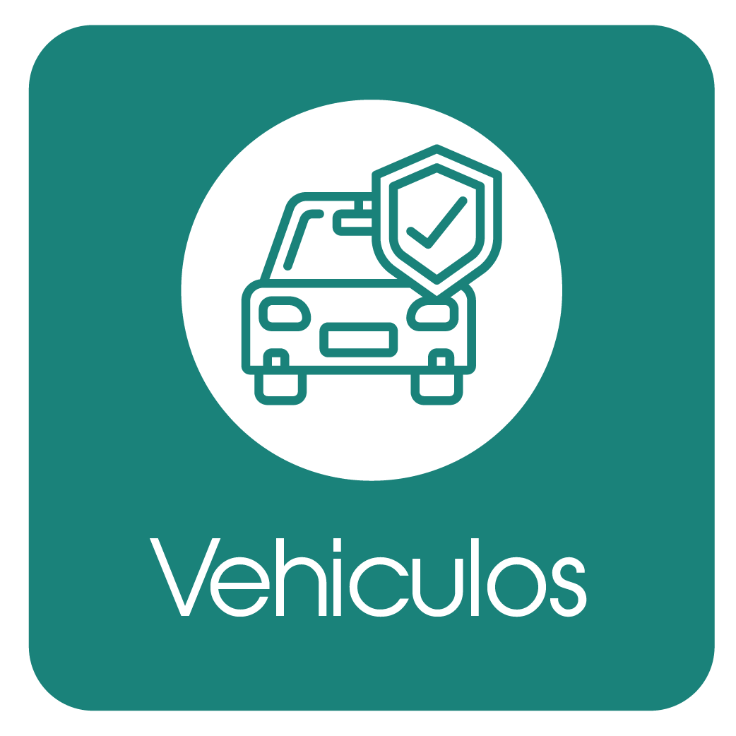 ICONOS WEB DIC2025_Mesa de trabajo 1 copia 6